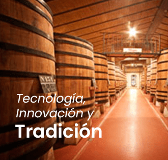 Innovación y Tradición en bodega